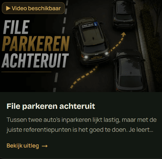 Categoriepagina met theorie-artikelen per onderwerp